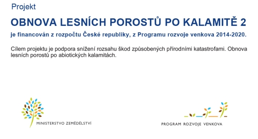 Projekt Obnova lesních porostů po kalamitě