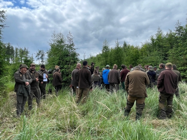 Odborné semináře – výchova lesních porostů na pokalamitních plochách